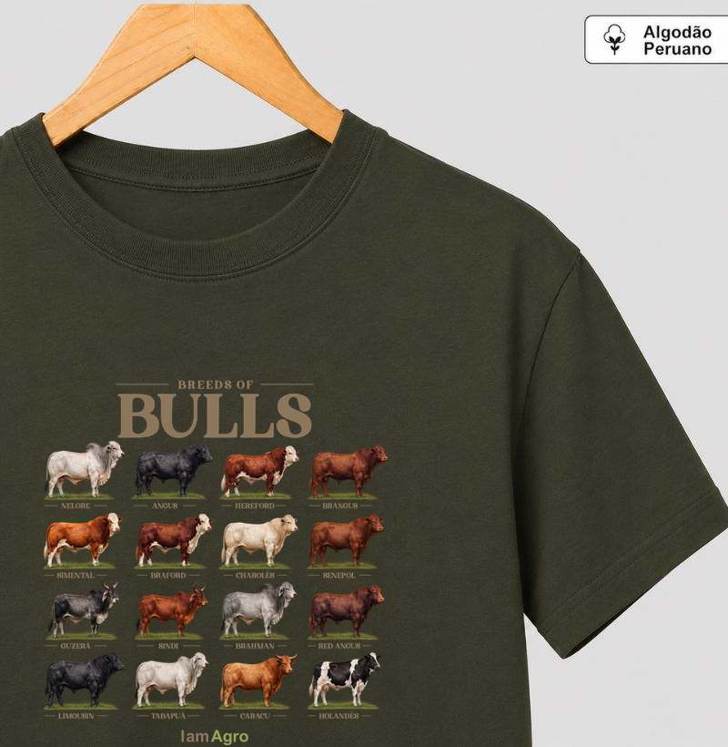 Breeds of Bulls |Algodão Peruano | I Am Agro
