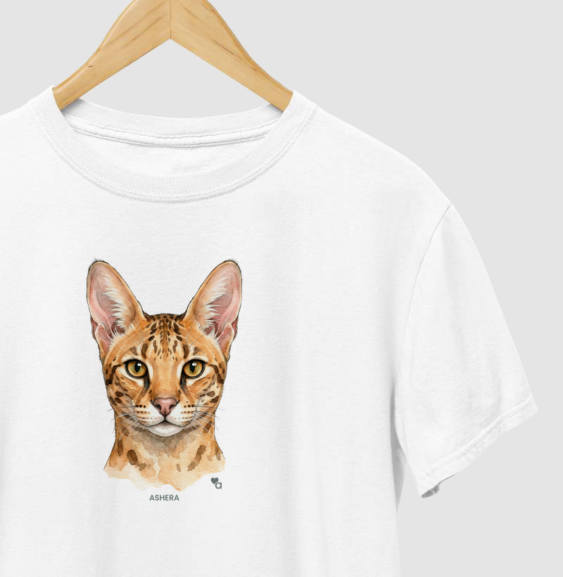 Gatos - Ashera