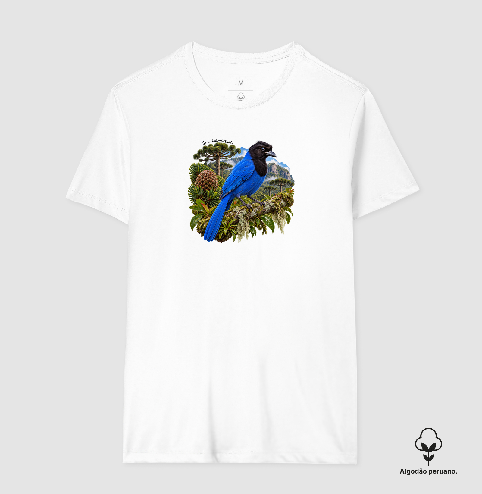 Gralha-azul - Coleção Fauna Brasileira