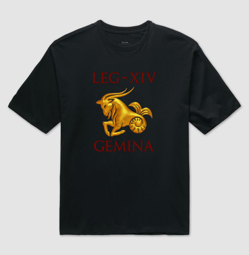 LEGIO — XIV Gemina