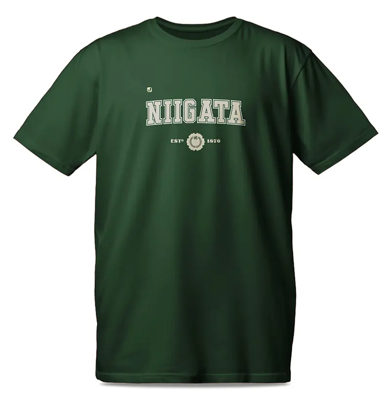 Província de Niigata