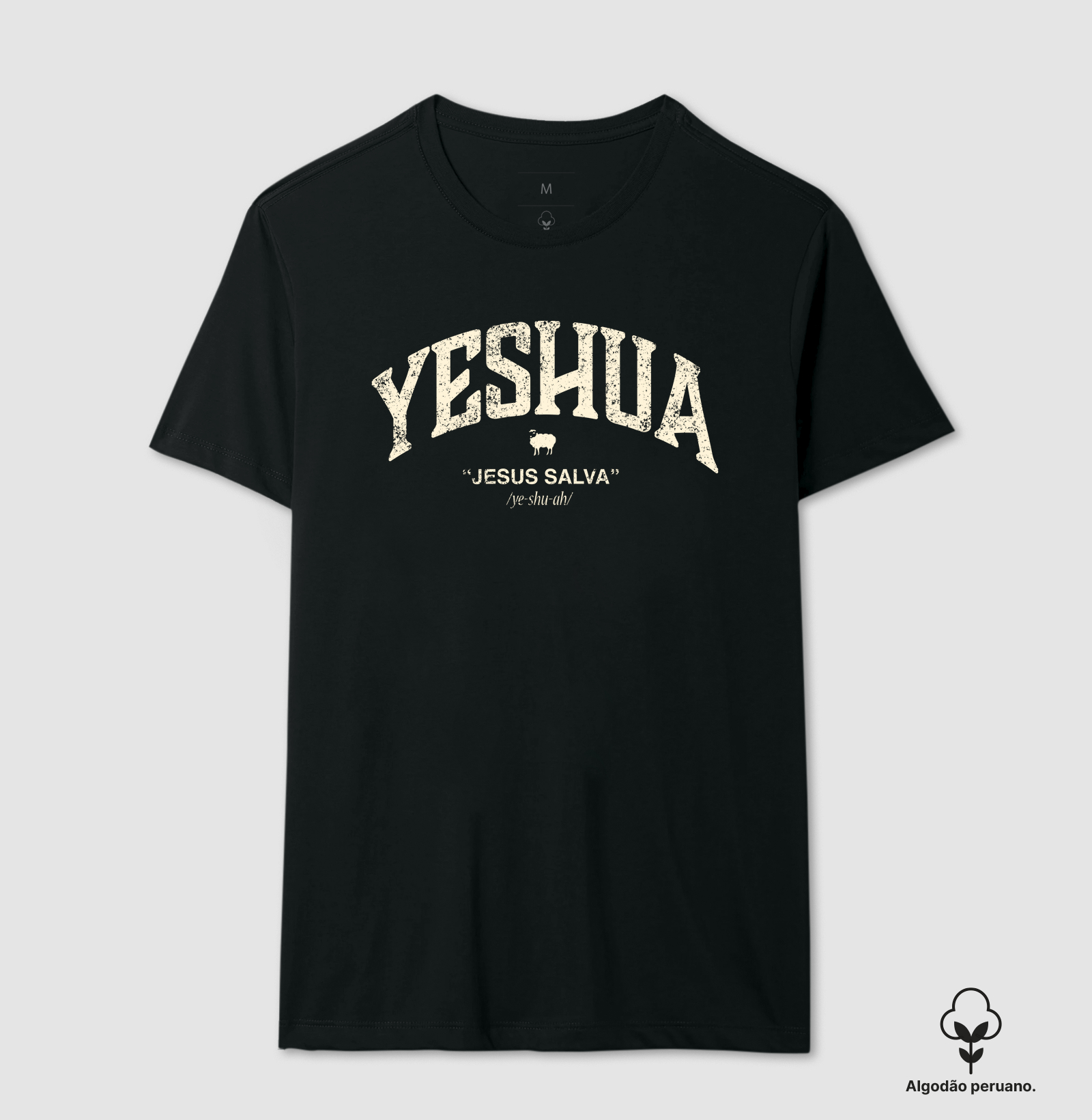 Yeshua- Jesus Salva