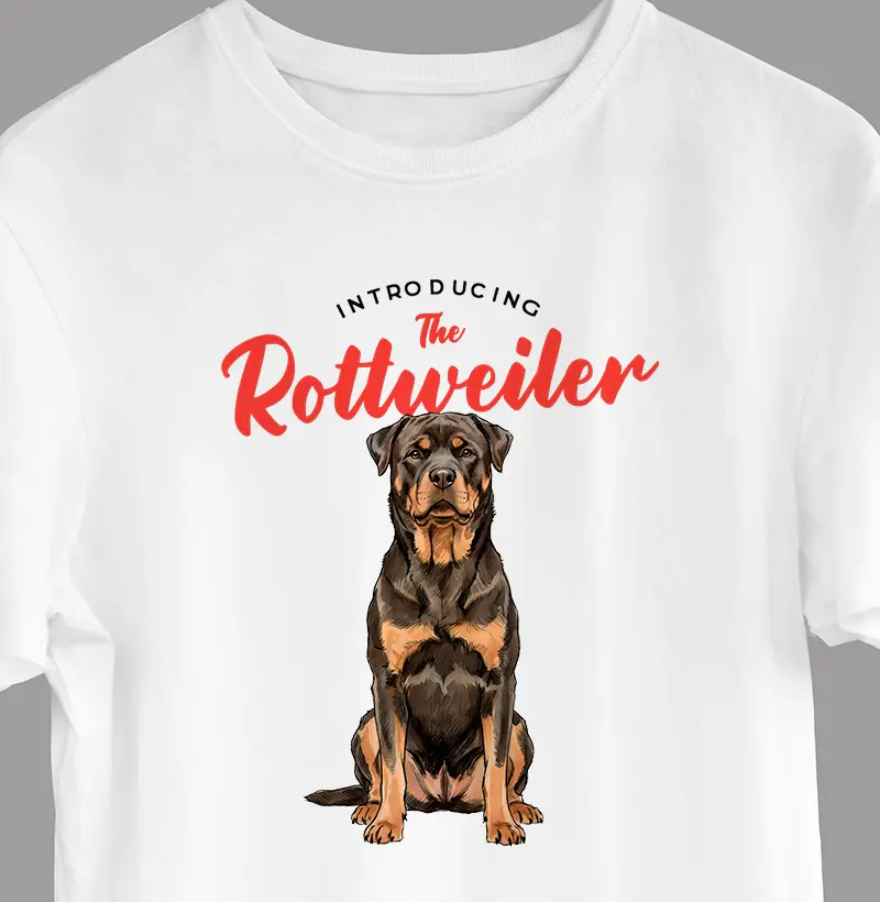 Rottweiler | Introducing