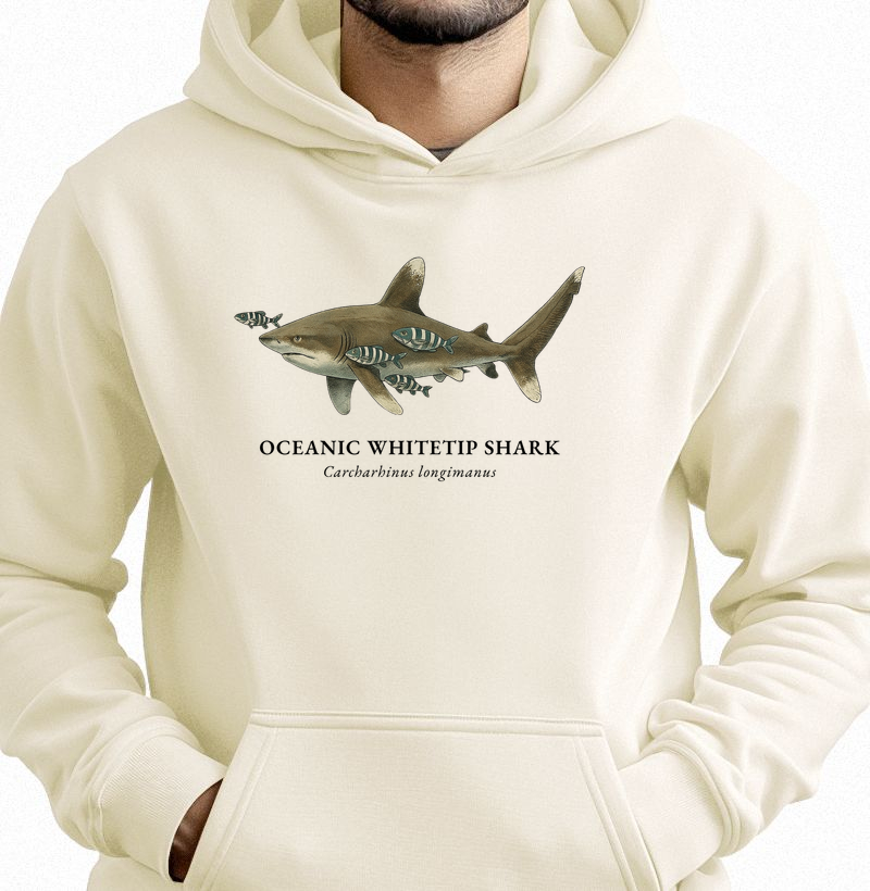 Oceanic Whitetip Shark
