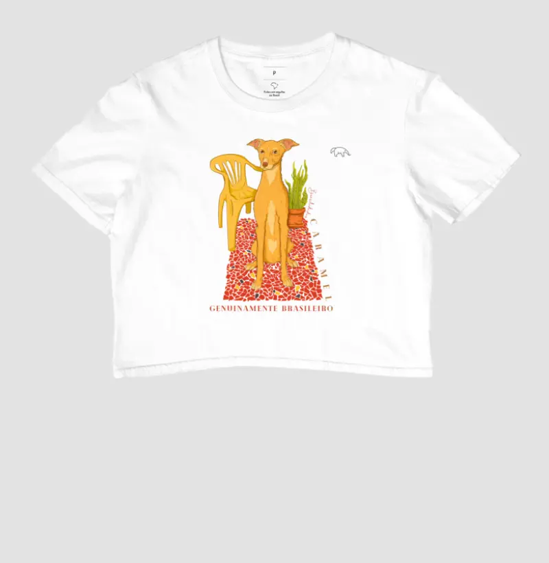 Vira-lata caramelo cropped