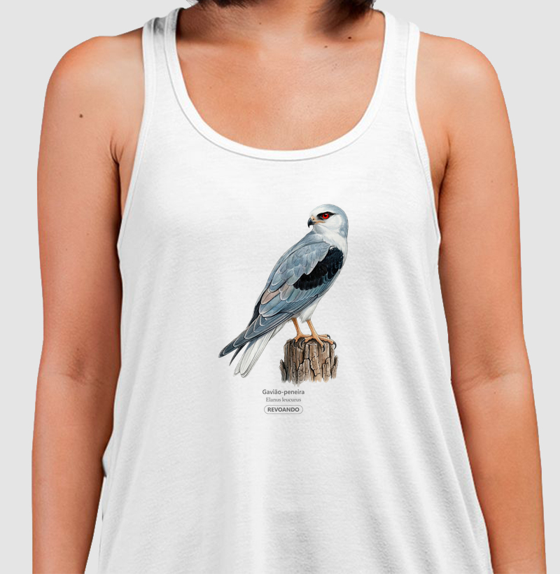 Traços Alados - Gavião-peneira - Regata