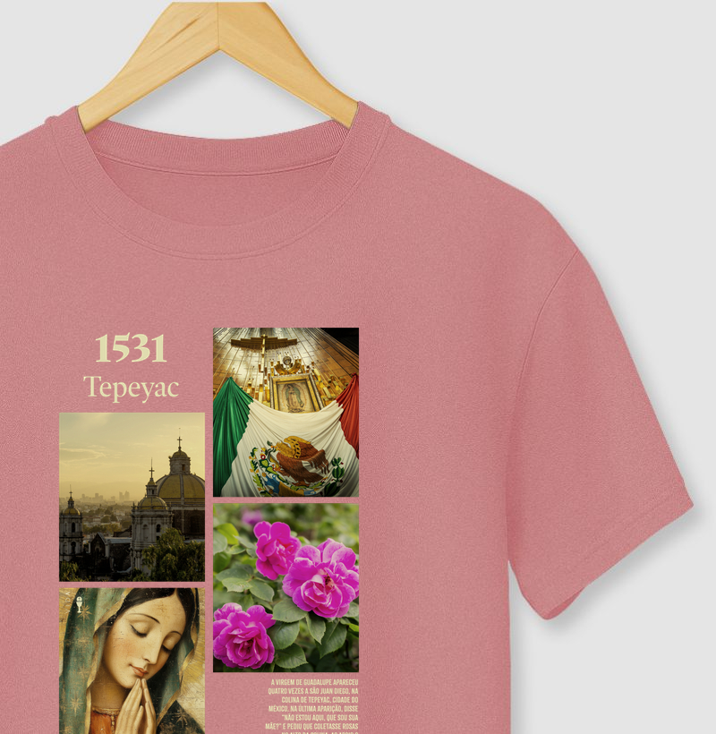 1531 N.S. Guadalupe
