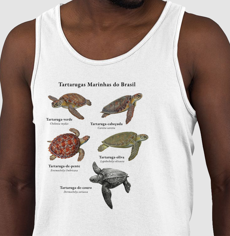 Tartarugas Marinhas do Brasil