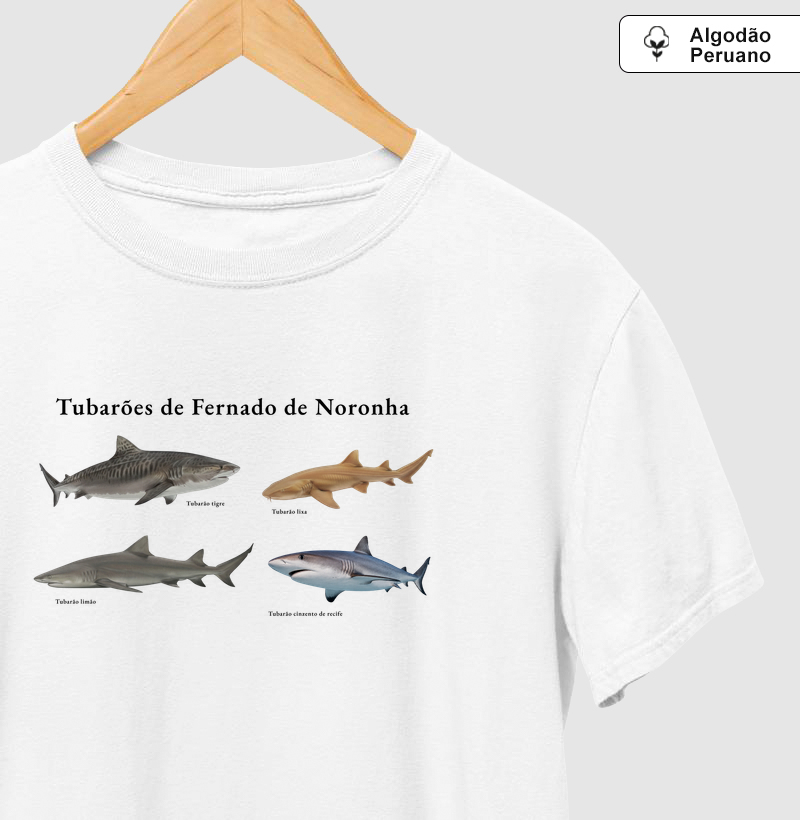 Tubarões de Fernando de Noronha