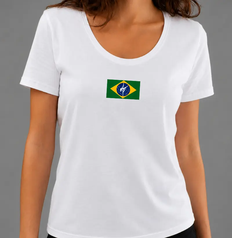 Bandeira Brasil