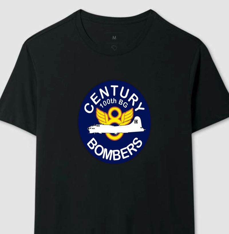 USAAF - The 'Bloody 100th' Bomb Group