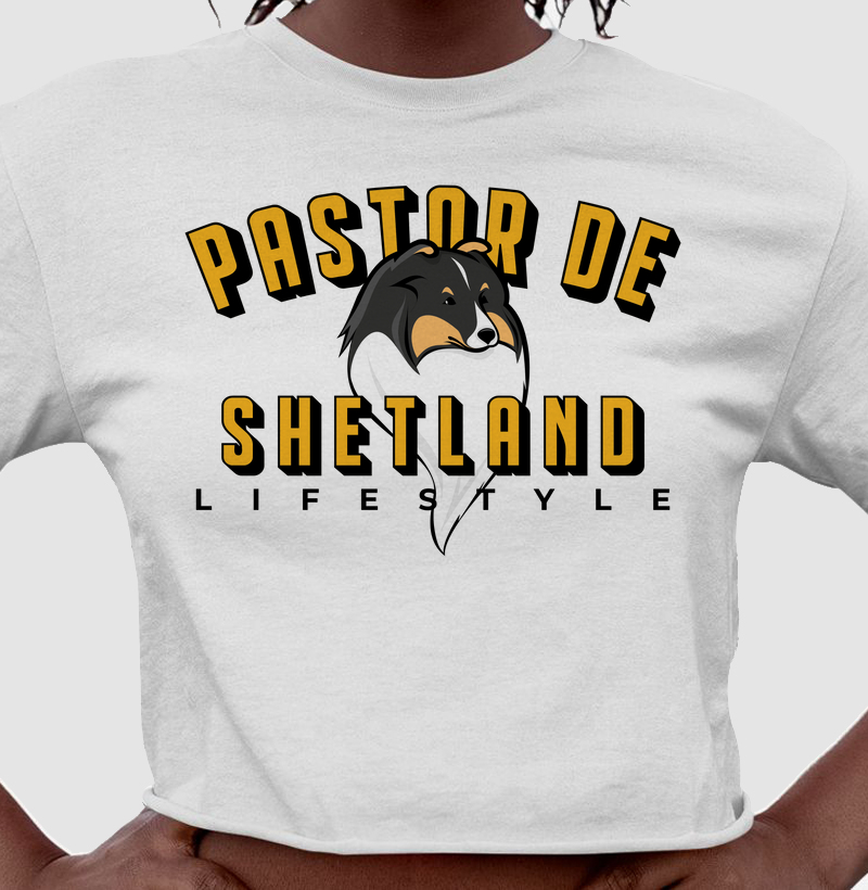 Rosto Pastor de Shetland 02