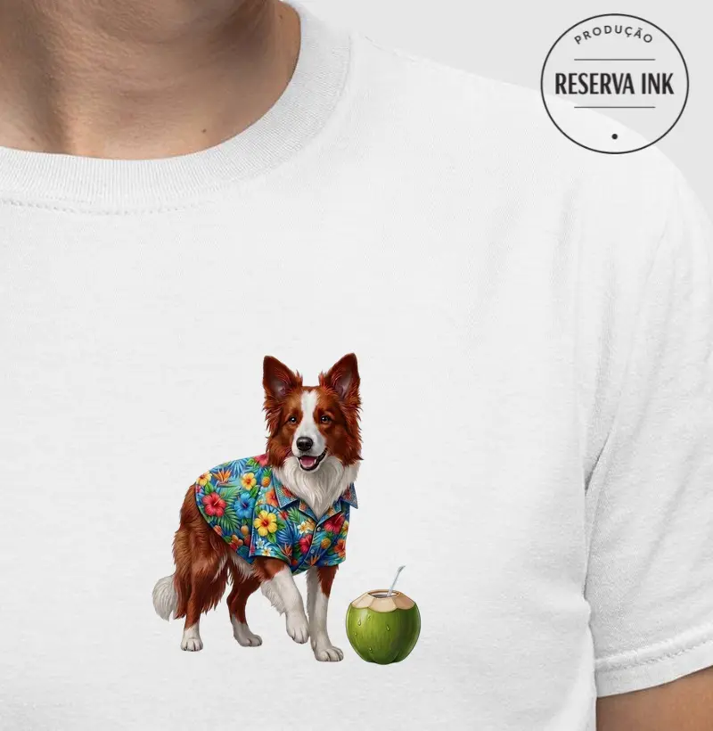 Border Collie Claro 2 - Férias