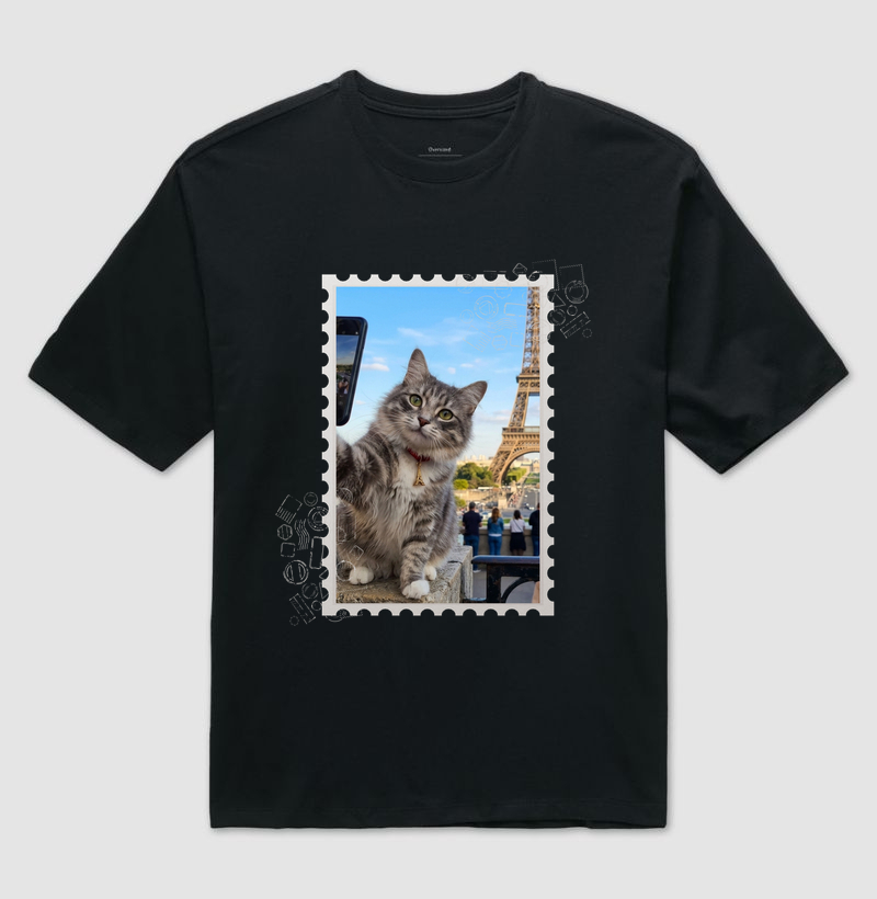 Travelling Cats - Paris