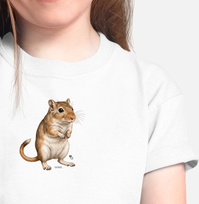Roedores - Gerbil - Infantil
