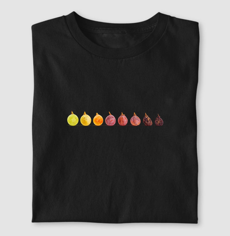 Noble Rot 2