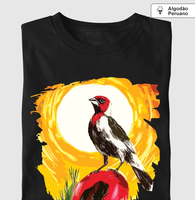 Cardeal no Nordeste 1.0