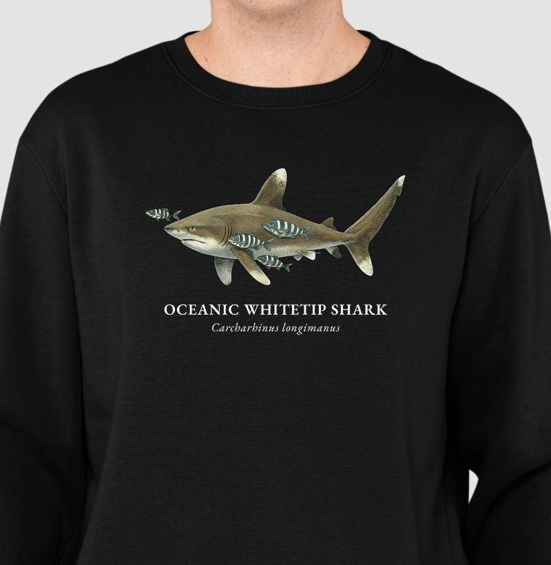 Oceanic Whitetip Shark