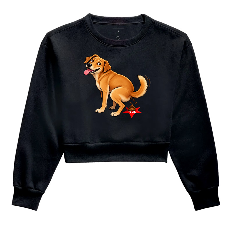 Cachorro Caramelo - Cropped Moletom