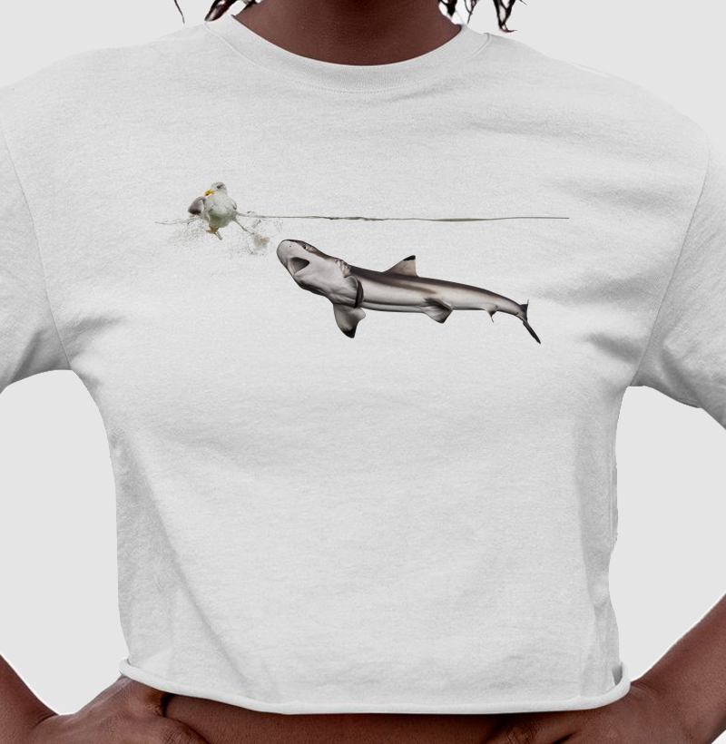 Shark Hunt