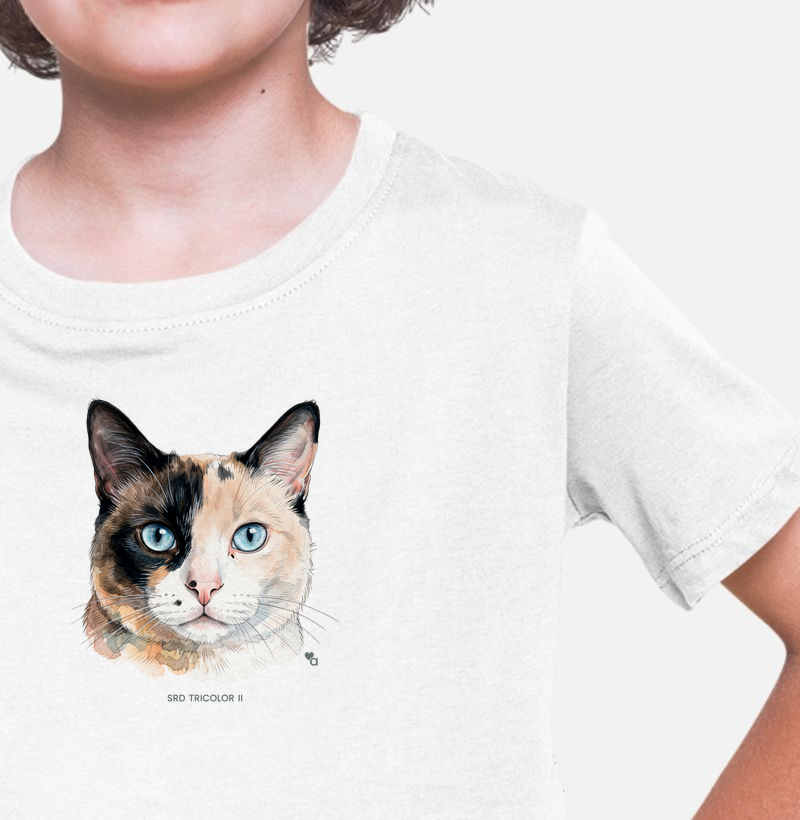 Gatos - SRD Tricolor II - Infantil