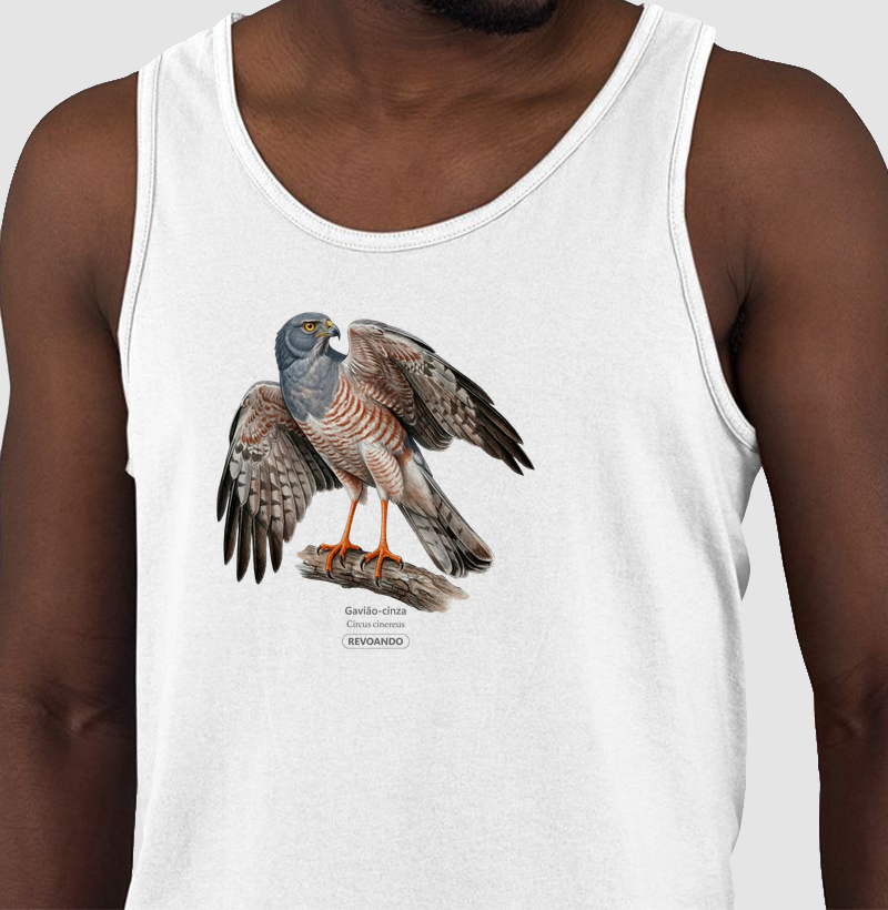 Traços Alados - Gavião-cinza - Cropped