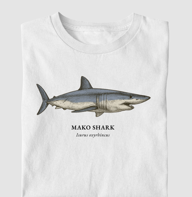 Mako Shark