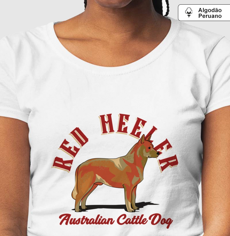 Australian Cattle Dog Red