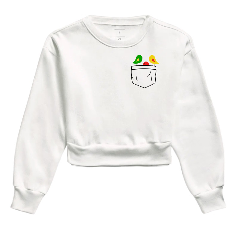 Três passarinhos no bolso