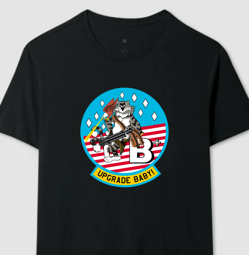 F-14 Tomcat B+ Upgrade Baby!