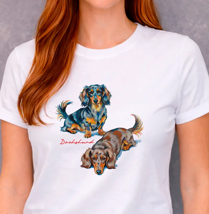 Dachshund | Pelo Longo