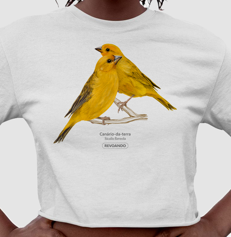 Inky Aves - Canário-da-terra II - Cropped