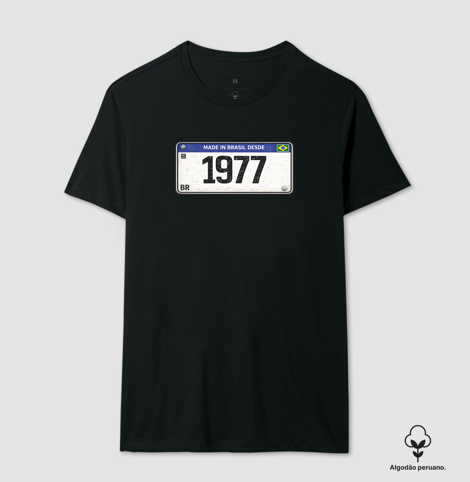 PLACA 1977