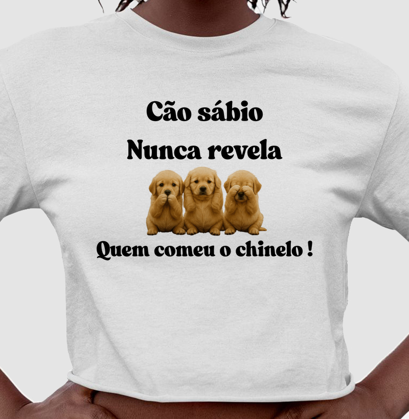Cão sábio nunca revela quem comeu o chinelo!