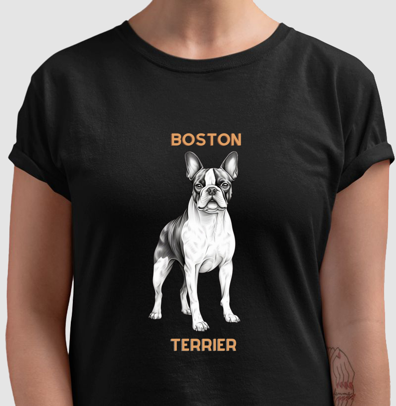 Boston Terrier