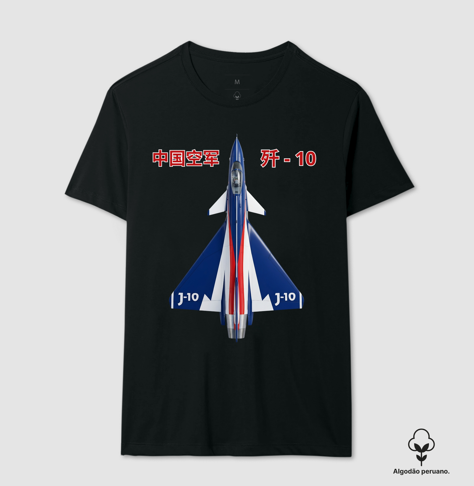 J-10 