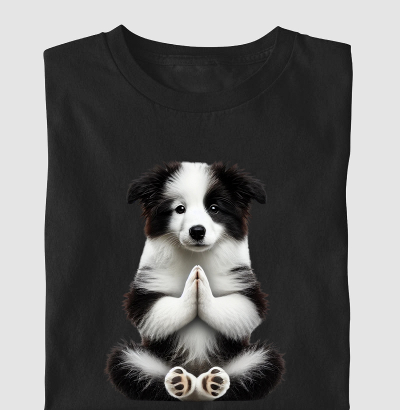 Border Collie Gratidão