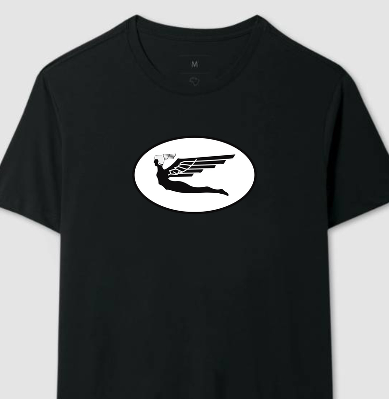 Companhias Aéreas do Brasil - VARIG (Ícaro)