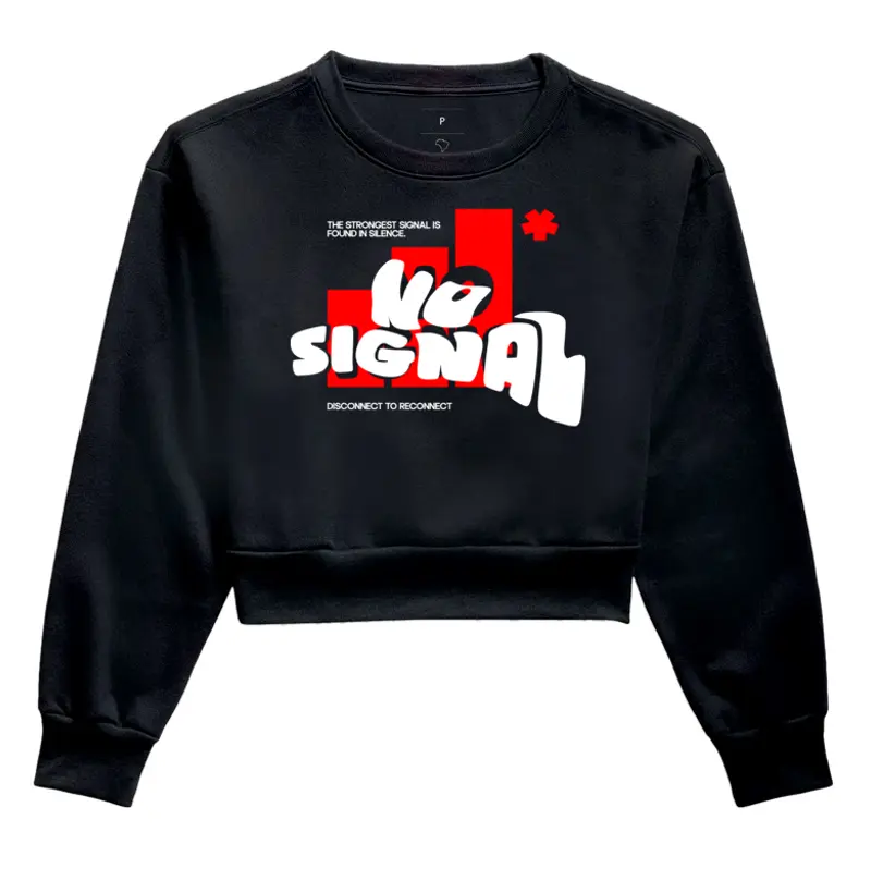 NO SIGNAL 