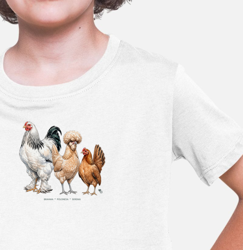 Aves - Galos e Galinhas - Infantil