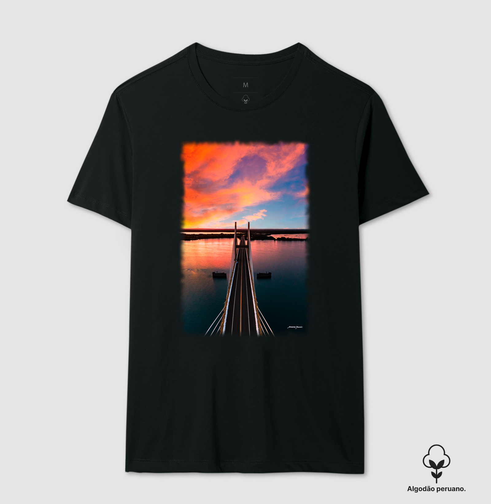 Ponte Rollenberg-vuolo