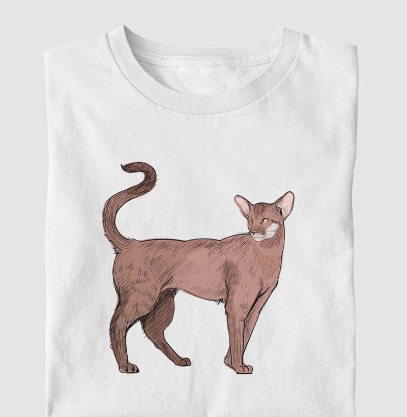 Oriental Shorthair