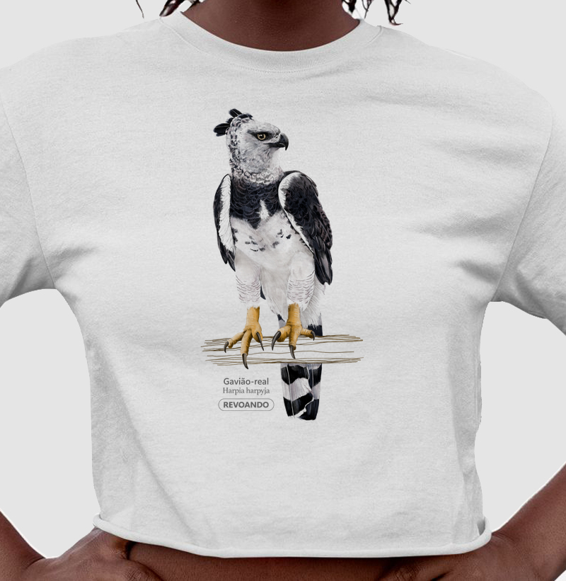 Aves do Brasil - Gavião-real - Harpia - Croppped