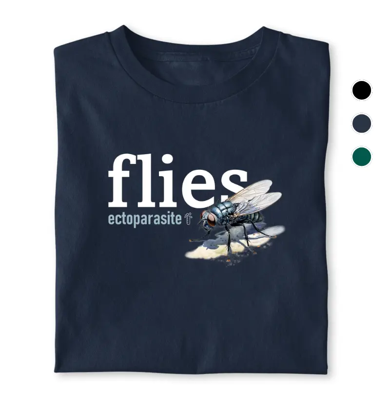 Flies
