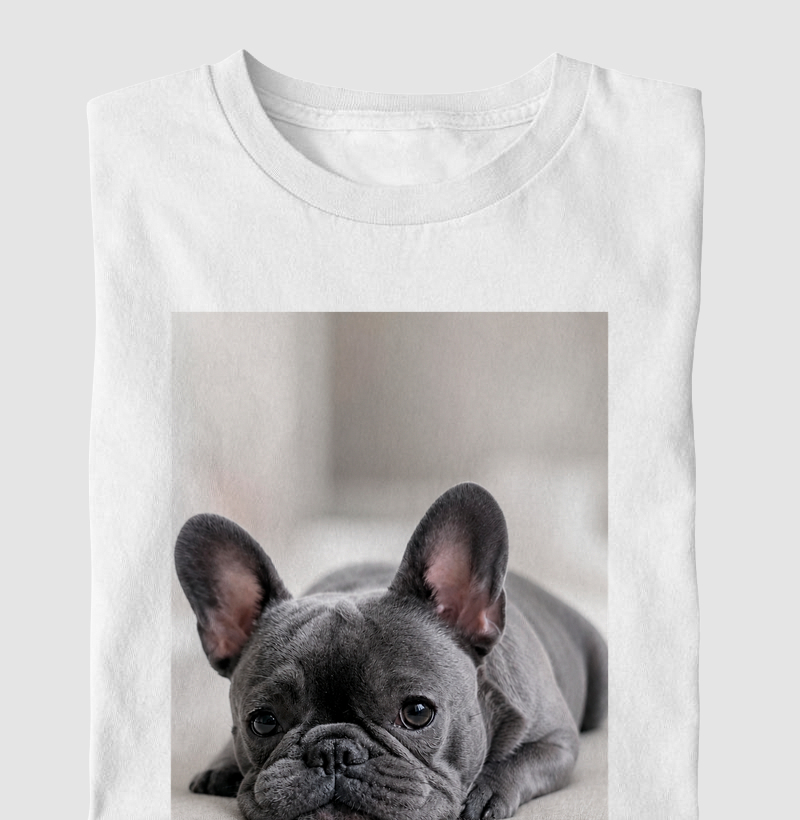 Frenchie Lilac