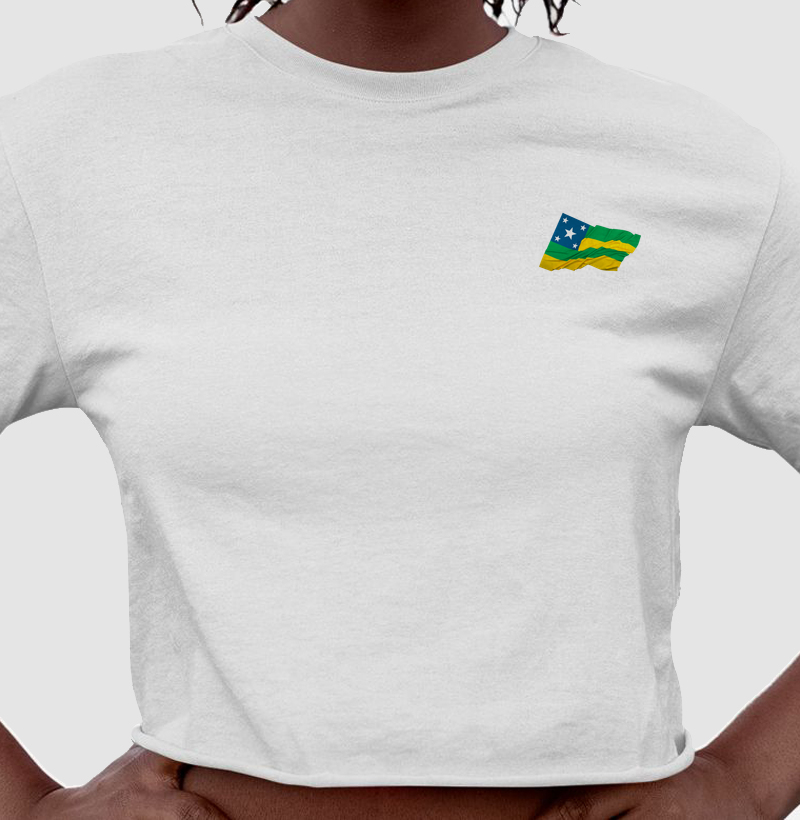Bandeira de Sergipe