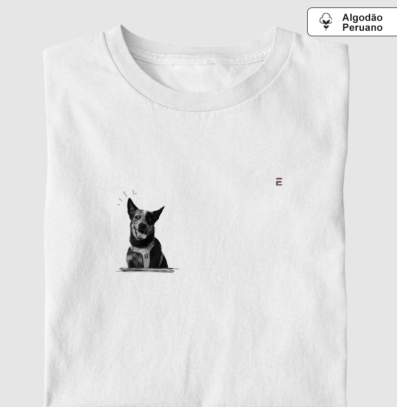 Blue Heeler