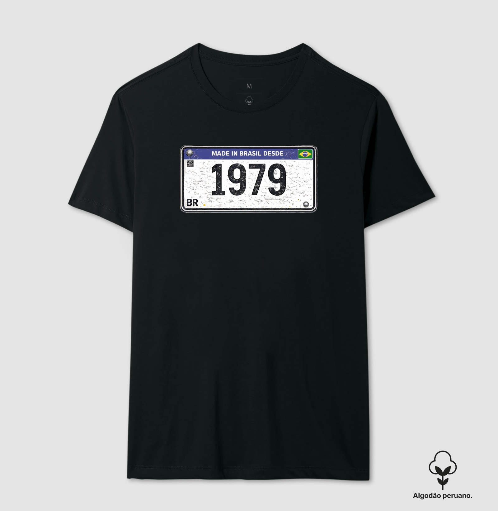 PLACA 1979