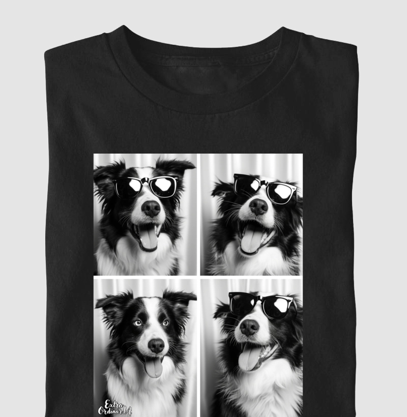 Border Clicks: O Border Collie Mais Estiloso do Rolê