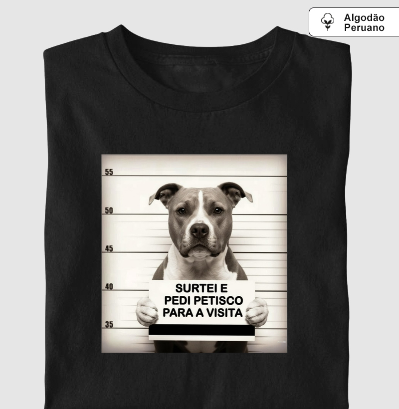 SURTEI E PEDI PETISCO PARA A VISITA